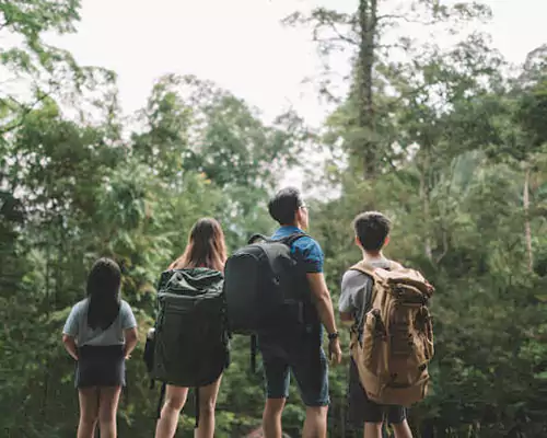 family tours